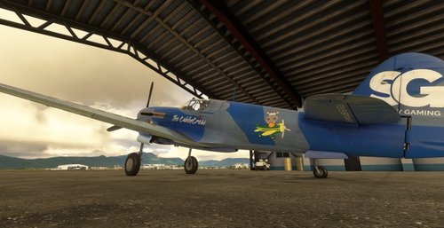 Curtiss P-40F Shoney Gaming