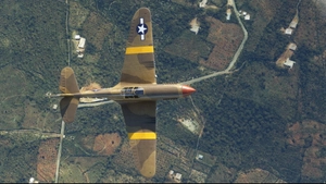 Curtiss P-40F USAAF 332nd FG, 99th FS, #A17 'Ace of Pearls' thumbnail 4