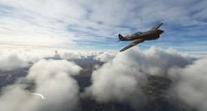 Curtiss P-40F USAAF 332nd FG, 99th FS, #A17 'Ace of Pearls' thumbnail 5