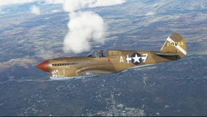 Curtiss P-40F USAAF 332nd FG, 99th FS, #A17 'Ace of Pearls' thumbnail 3