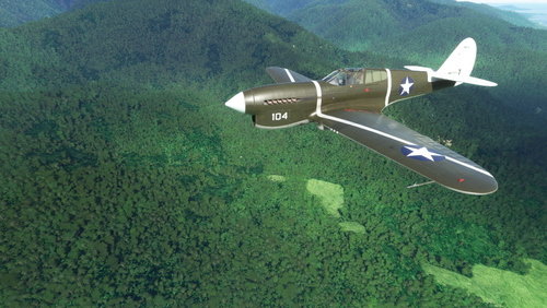 Curtiss P-40F USAAF 44th FS, 18th FG #104