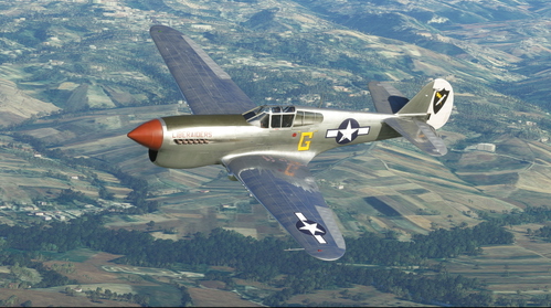 Curtiss P-40F USAAF 461st BG Liberaiders