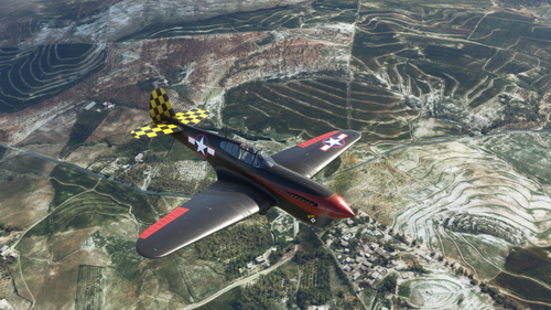 Curtiss P-40F Warhawk 325th FG "Stud"