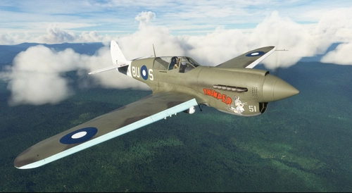 Curtiss P-40N Kittyhawk RAAF "Thumper"