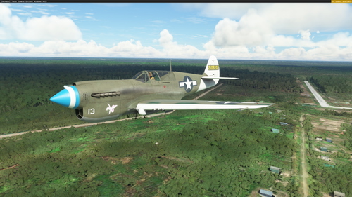 Curtiss P-40N USAAF 49th FG #13 'Orchid'
