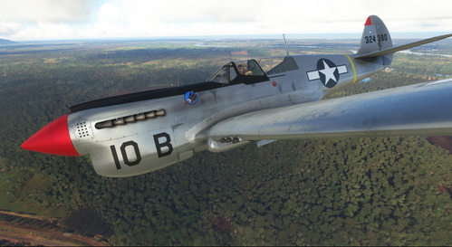 Curtiss P-40N Warhawk 369th FG #10 B