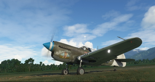 Curtiss P-40N Warhawk 49th FG #15 "Island Dream"