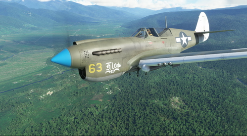 Curtiss P-40N Warhawk 49th FG #63 "Flo II"