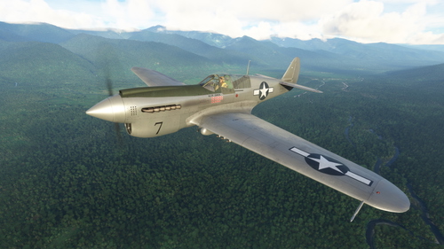 Curtiss P-40N Warhawk 49th FG #7 Major Johnson