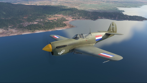 Curtiss P-40N Warhawk Royal Dutch Air Force C3-549 "Snafu"