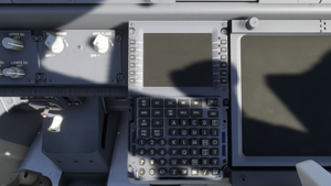 Custom Camera Views for PMDG 737-600 thumbnail 4