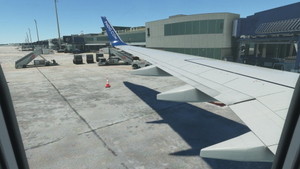 Custom Camera Views for PMDG 737-800 / BBJ2 / BCF / BDSF thumbnail 9