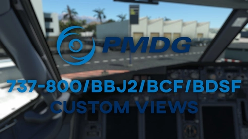 Custom Camera Views for PMDG 737-800 / BBJ2 / BCF / BDSF