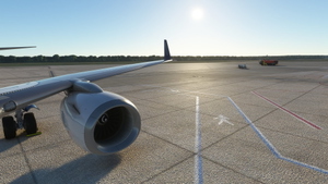 Custom Camera Views [PMDG 738] thumbnail 6