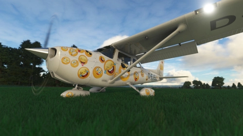 D-EJSU EvAir "Emoji Livery" [Cessna 172 G1000] (8K)