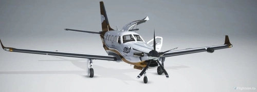 Daher TBM930 - Gold Virtual Airlines 10 Years