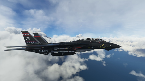 DCDesigns F-14 VX-9 Vampires Pack