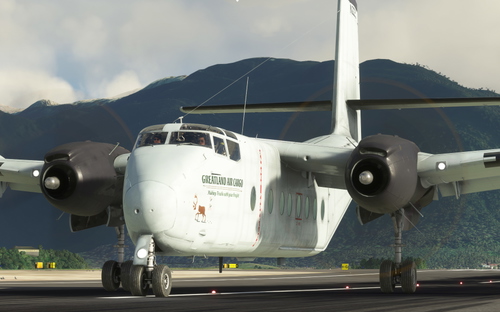 de Havilland Canada DHC-4 Caribou - Greatland Air Cargo