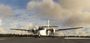 de Havilland Canada DHC-4 Caribou RAAF A4-264 thumbnail 3