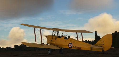 de Havilland DH-82 Tiger Moth I-GATO