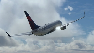 Delta Air Lines [Pack] w/Cabin PMDG B737-800 thumbnail 13