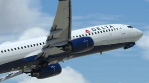 Delta Air Lines [Pack] w/Cabin PMDG B737-800 thumbnail 2