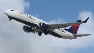 Delta Air Lines [Pack] w/Cabin PMDG B737-800 thumbnail 9
