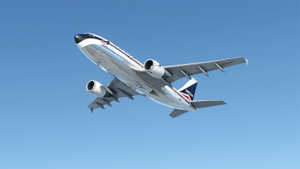 Delta Airlines Classic N606DL Airbus A310-300 8K thumbnail 5