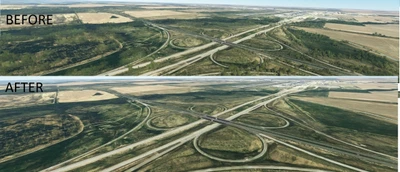 Denver International Airport tree removal