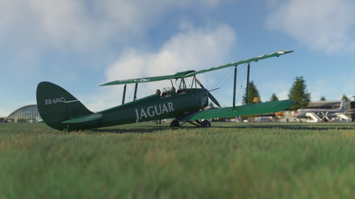 DH82 Tiger Moth Jaguar livery (Fictional)