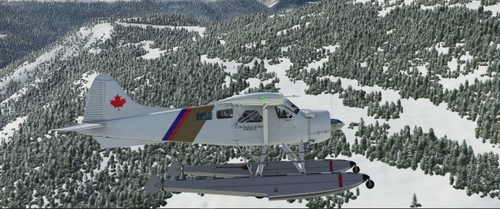 DHC-2 Beaver Canadian Mist 2022 Promotional Aircraft