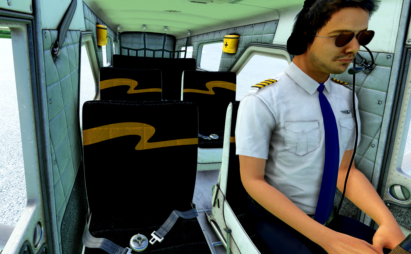dhc2-beaver-c-gzbe-cottage-air-W0R97.jpg