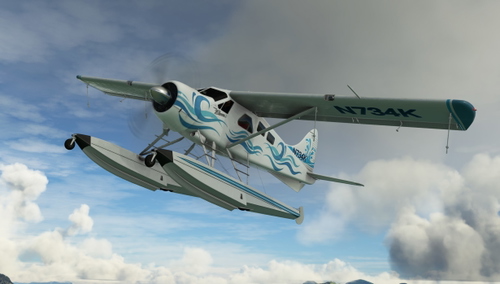 DHC-2 Beaver private N734K 'Waves' livery 