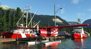 DHC-2 Beaver Rust's livery thumbnail 6
