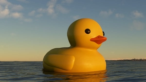 Ducky thumbnail 1