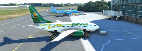Eastwind Airlines PMDG 737-600 736