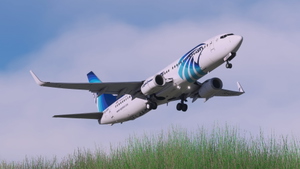 Egyptair [4K] Mini-Fleet Package (SU-GDD, -GDY, -GEI) - PMDG 737-800 thumbnail 11