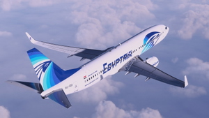Egyptair [4K] Mini-Fleet Package (SU-GDD, -GDY, -GEI) - PMDG 737-800 thumbnail 7