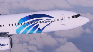 Egyptair [4K] Mini-Fleet Package (SU-GDD, -GDY, -GEI) - PMDG 737-800 thumbnail 1