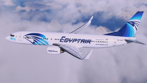 Egyptair [4K] Mini-Fleet Package (SU-GDD, -GDY, -GEI) - PMDG 737-800 thumbnail 3