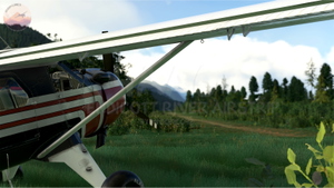 Endicott River Airstrip, 4AA6, Alaska, USA thumbnail 9