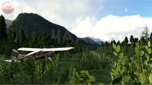Endicott River Airstrip, 4AA6, Alaska, USA thumbnail 3