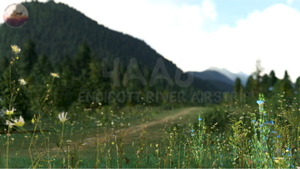 Endicott River Airstrip, 4AA6, Alaska, USA thumbnail 2