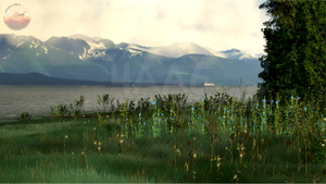Endicott River Airstrip, 4AA6, Alaska, USA thumbnail 12