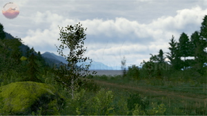Endicott River Airstrip, 4AA6, Alaska, USA thumbnail 11