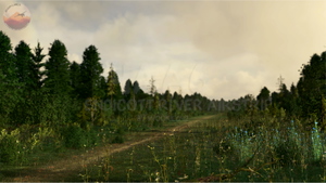 Endicott River Airstrip, 4AA6, Alaska, USA thumbnail 8