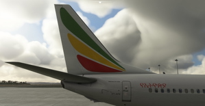 Ethiopian Airlines ET-APK PMDG 737-800 4K thumbnail 4