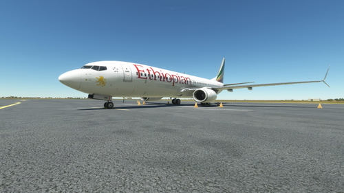 Ethiopian Airlines Livery PMDG 737-800 Reg. ET-APK for MSFS 2020