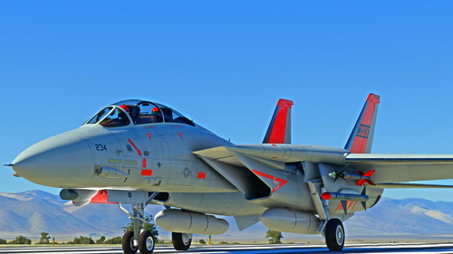 F-14 A/B CHINA LAKE LIVERY NAWC
