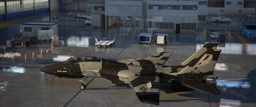 F-14B Tomcat Black and Grey Agressors